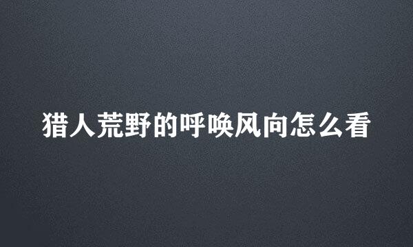 猎人荒野的呼唤风向怎么看
