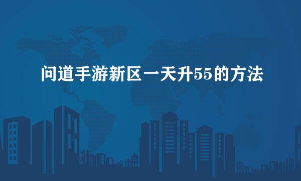 问道手游新区一天升55的方法