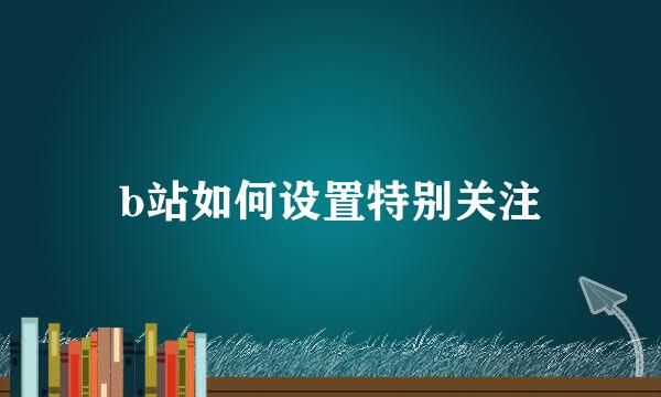 b站如何设置特别关注