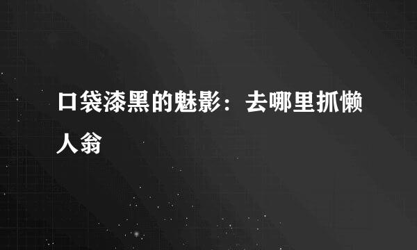 口袋漆黑的魅影：去哪里抓懒人翁