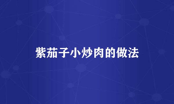 紫茄子小炒肉的做法