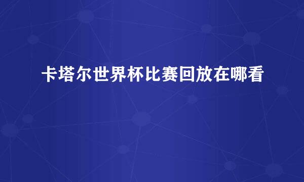 卡塔尔世界杯比赛回放在哪看