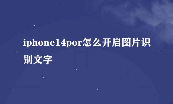 iphone14por怎么开启图片识别文字