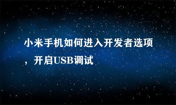 小米手机如何进入开发者选项，开启USB调试