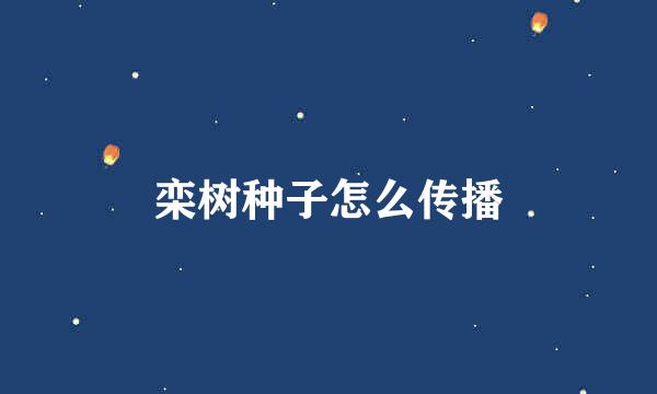 栾树种子怎么传播