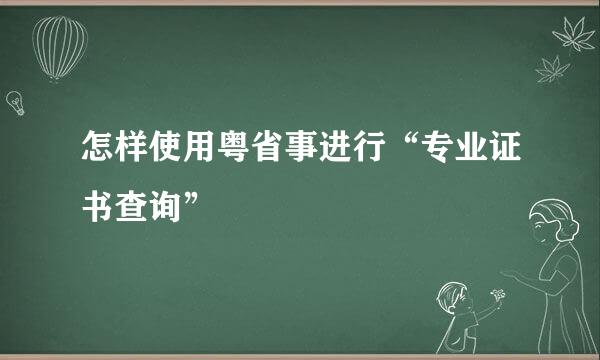 怎样使用粤省事进行“专业证书查询”