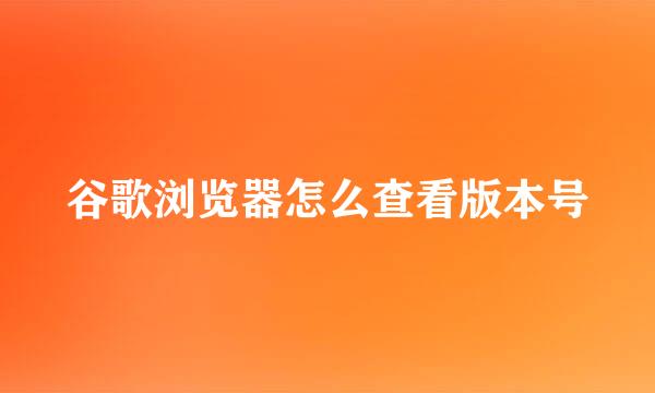 谷歌浏览器怎么查看版本号