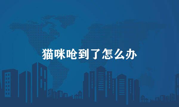 猫咪呛到了怎么办
