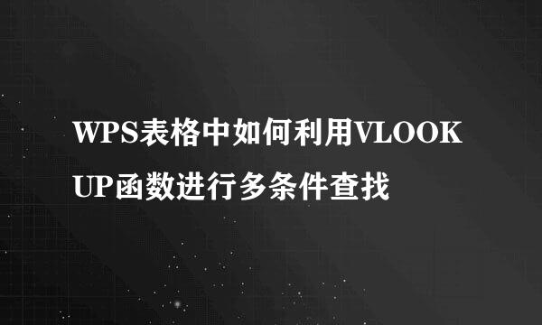 WPS表格中如何利用VLOOKUP函数进行多条件查找