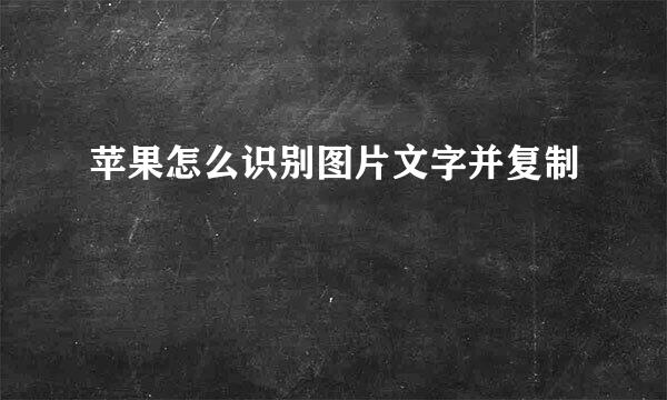 苹果怎么识别图片文字并复制