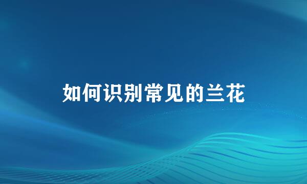 如何识别常见的兰花