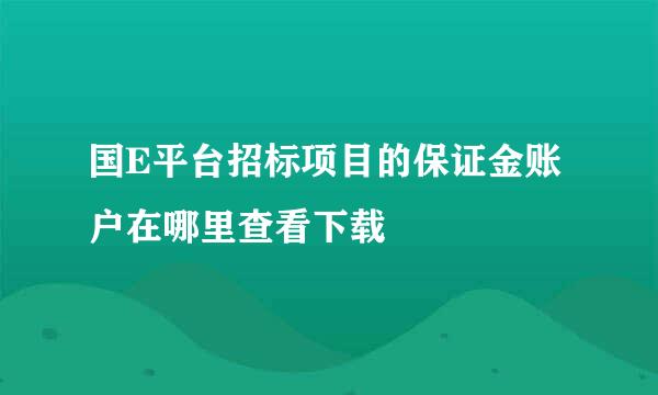 国E平台招标项目的保证金账户在哪里查看下载