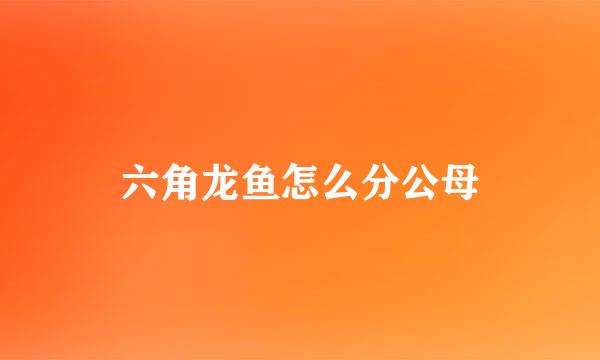 六角龙鱼怎么分公母