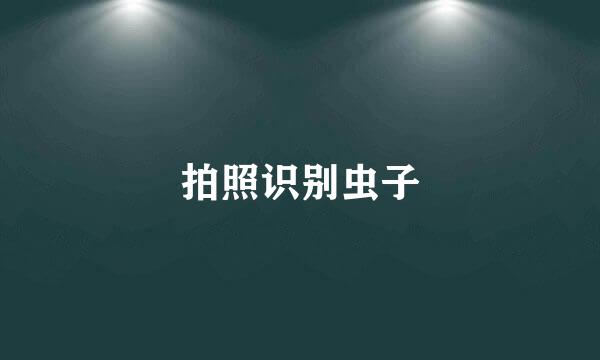拍照识别虫子