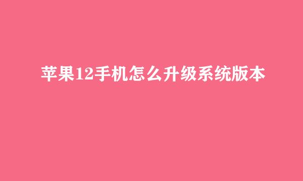 苹果12手机怎么升级系统版本