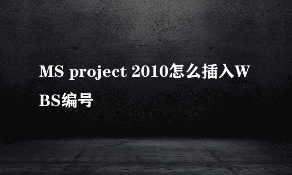 MS project 2010怎么插入WBS编号