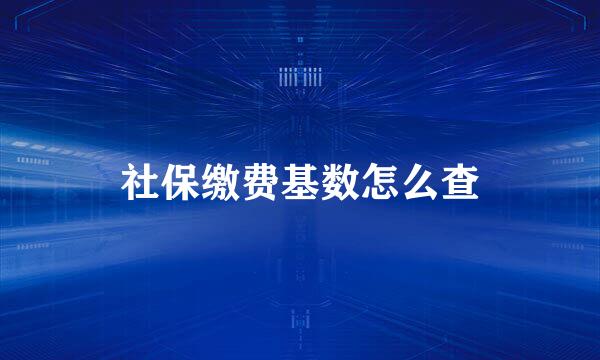 社保缴费基数怎么查