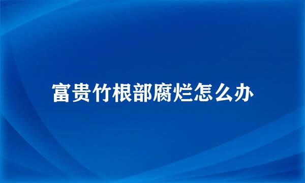 富贵竹根部腐烂怎么办
