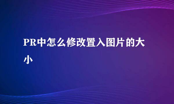 PR中怎么修改置入图片的大小