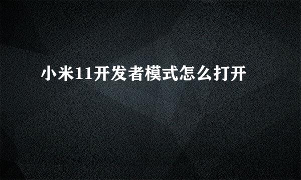 小米11开发者模式怎么打开