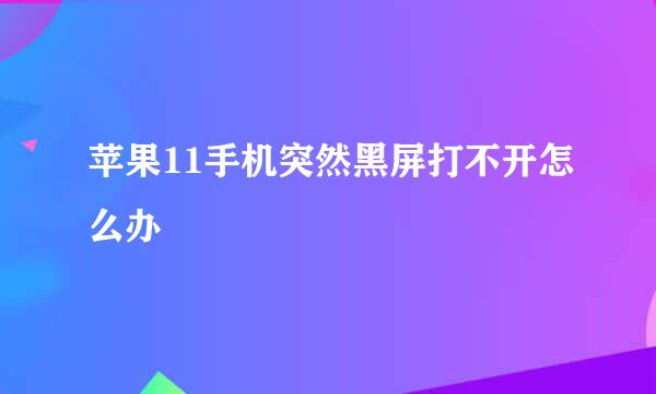 苹果11手机突然黑屏打不开怎么办