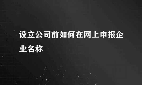设立公司前如何在网上申报企业名称