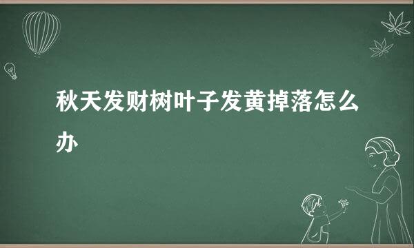 秋天发财树叶子发黄掉落怎么办