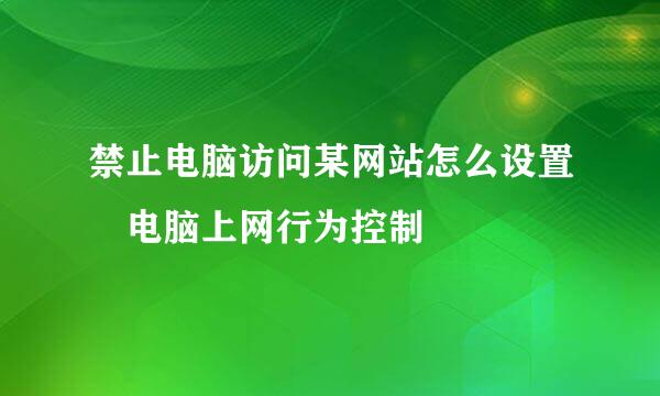 禁止电脑访问某网站怎么设置　电脑上网行为控制