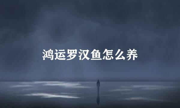 鸿运罗汉鱼怎么养