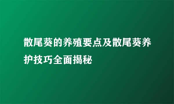 散尾葵的养殖要点及散尾葵养护技巧全面揭秘