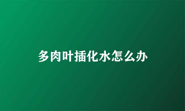多肉叶插化水怎么办