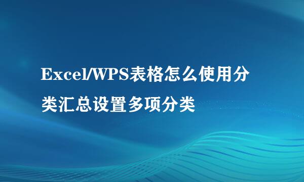 Excel/WPS表格怎么使用分类汇总设置多项分类