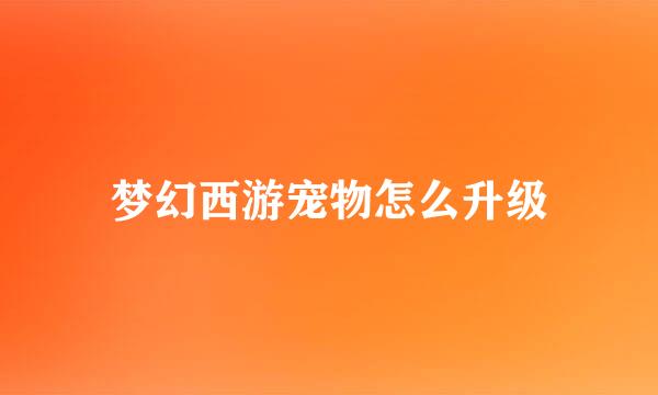 梦幻西游宠物怎么升级