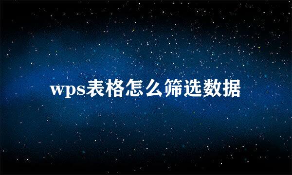 wps表格怎么筛选数据