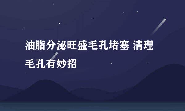 油脂分泌旺盛毛孔堵塞 清理毛孔有妙招