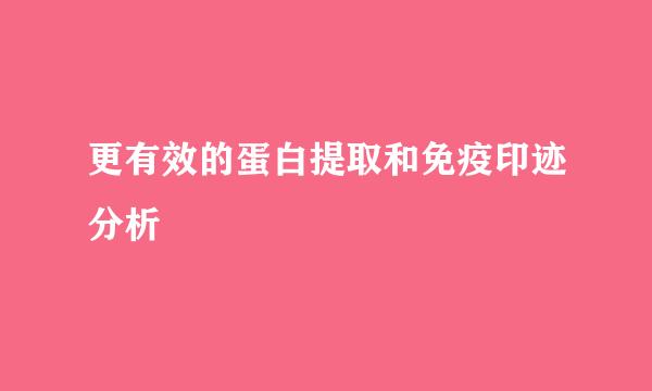 更有效的蛋白提取和免疫印迹分析