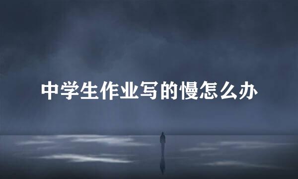 中学生作业写的慢怎么办