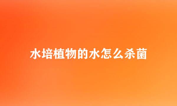 水培植物的水怎么杀菌