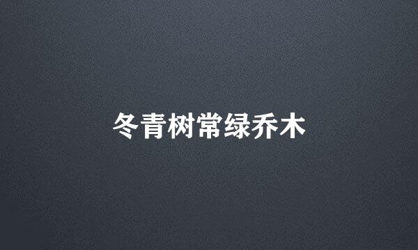 冬青树常绿乔木