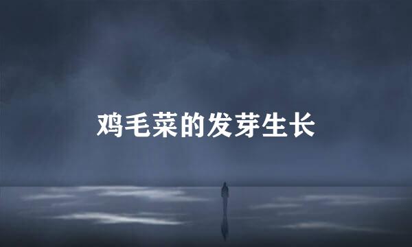 鸡毛菜的发芽生长