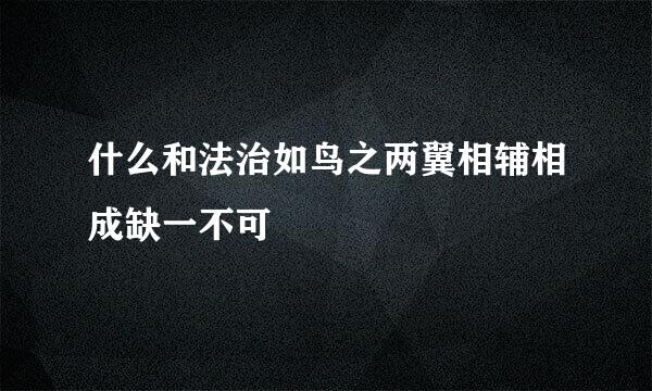 什么和法治如鸟之两翼相辅相成缺一不可