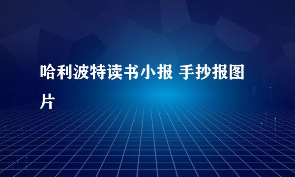 哈利波特读书小报 手抄报图片