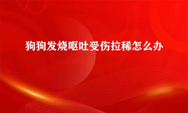 狗狗发烧呕吐受伤拉稀怎么办