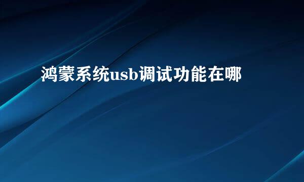 鸿蒙系统usb调试功能在哪