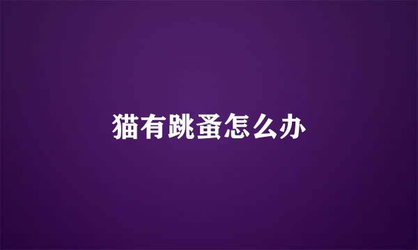 猫有跳蚤怎么办