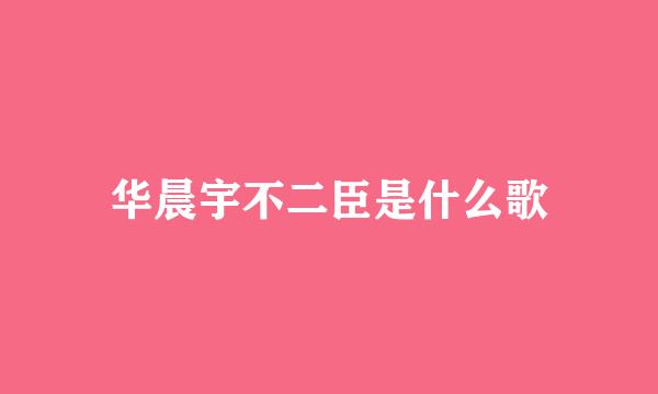 华晨宇不二臣是什么歌