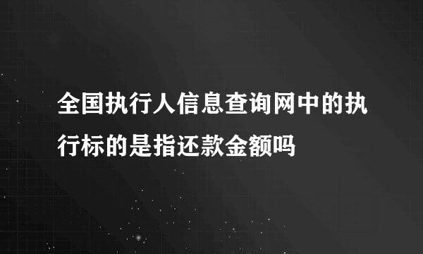 全国执行人信息查询网中的执行标的是指还款金额吗