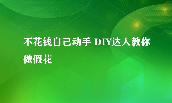 不花钱自己动手 DIY达人教你做假花