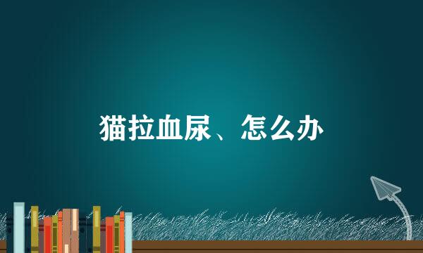 猫拉血尿、怎么办