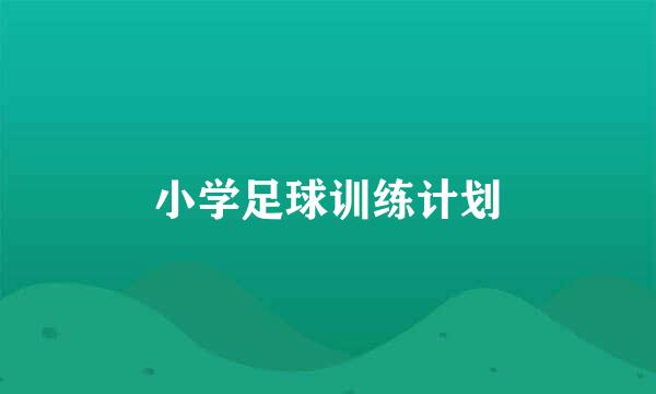 小学足球训练计划